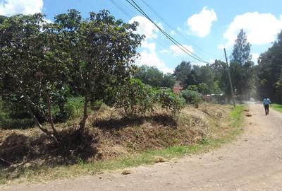 Land in Karen