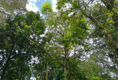 Land in Muthaiga - 2