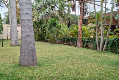 3 Bed House with En Suite in Hill View - 3