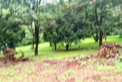 Land in Karen