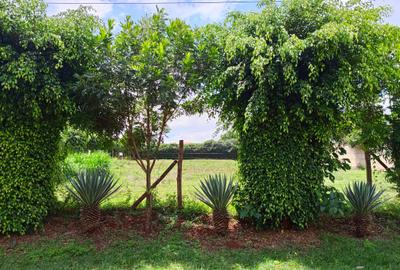 Land in Runda