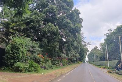 Residential Land at Runda