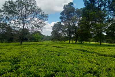 0.5 ac Residential Land at Limuru Girls