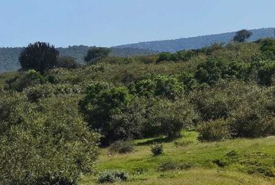 5 ac Land at Masai Mara