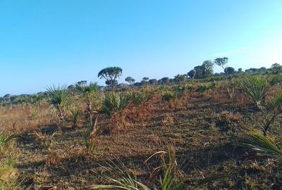 33 ac Commercial Land at Kiwengu - 2