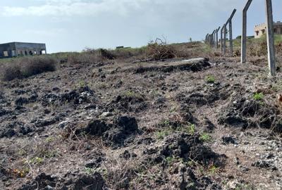 2 ac Residential Land at Jacaranda - 2