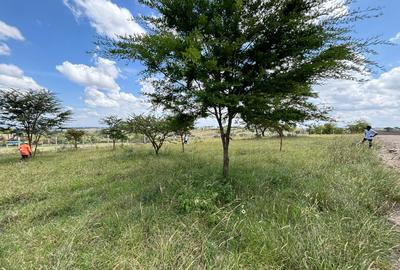 0.125 ac Residential Land at Kiserian