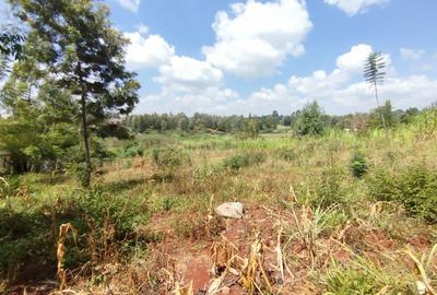 1 ac Land in Kiambu Road - 2