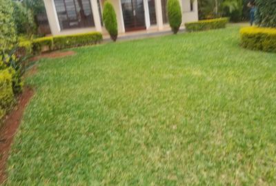 4 Bed Townhouse with En Suite in Kiambu Road