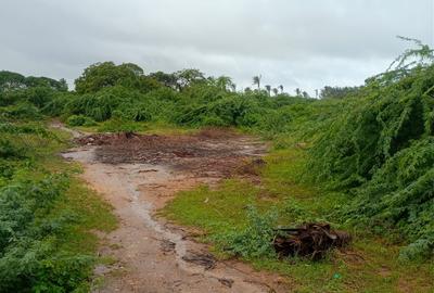 12 ac Land at Mambrui
