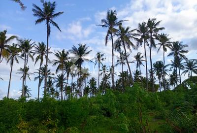 Land at Kikambala Beach