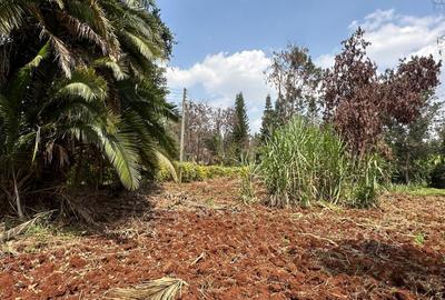 0.5 ac Residential Land at Muthithi Estate