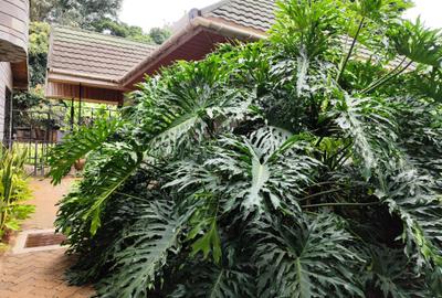1 Bed House with Garden at Limau Court Off Muthaiga Noth Road