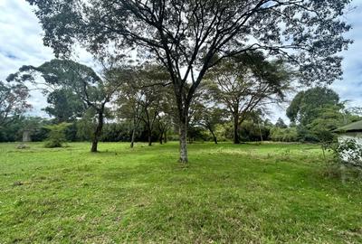 25 ac Land in Naivasha - 2