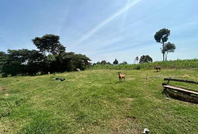 6 ac Land in Nakuru - 4