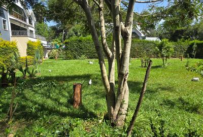 2 Bed House with Garden at Karen Galleria Mall - 3