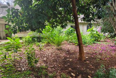 0.42 ac Land at Vihiga Road