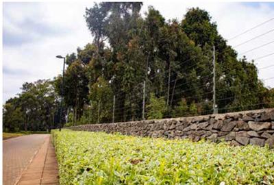 1 ac Land in Karen - 2