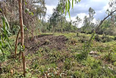 0.5 ac Land in Karen - 3