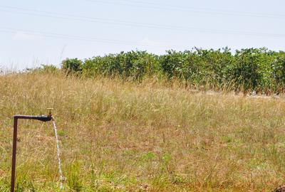 Land at Juja