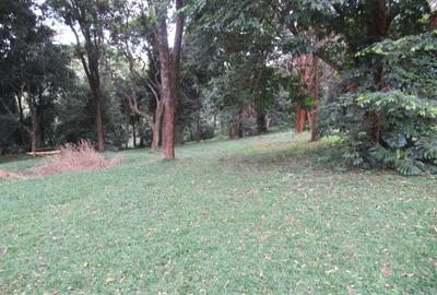 4 ac Land at Mushroom Gardens