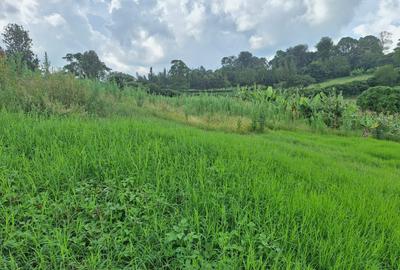 1 ac Residential Land at Kentmere