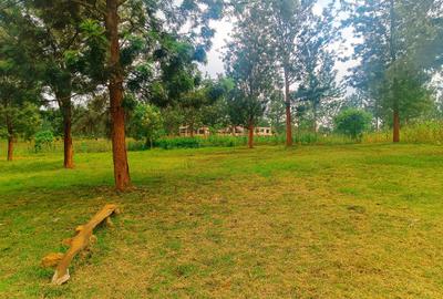 500 m² Residential Land at Oaklands Estate - 3