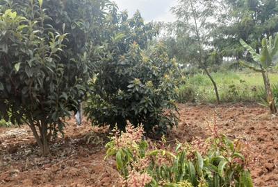 0.5 ac Land at Ndeiya Kiroe Limuru - 4