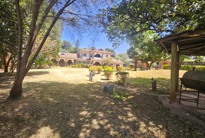 1 ac Commercial Property with Backup Generator in Lavington - 2