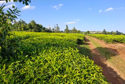 Land in Limuru