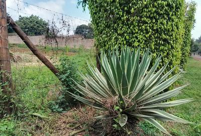 Residential Land in Runda