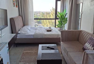 Furnished Studio Apartment with Backup Generator at Fedha Road