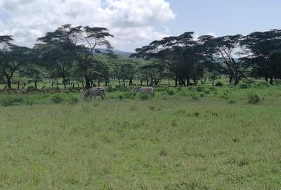 Commercial Land in Naivasha - 3
