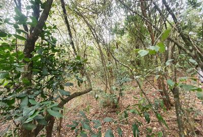 4 ac Land at Mbagathi Ridge - 3