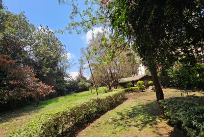 Commercial Property in Kilimani