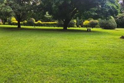 0.75 ac Land at Kunde Rd