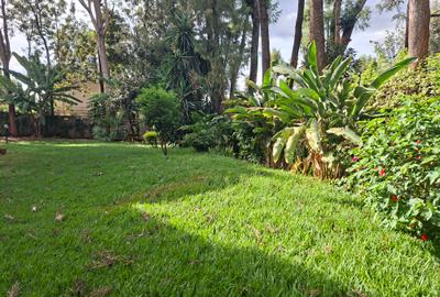 4 Bed House with En Suite at Off Mimosa Rd - 3