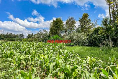 7.5 ac Land in Kikuyu Town