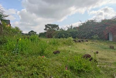 Commercial Land at Gataka Road