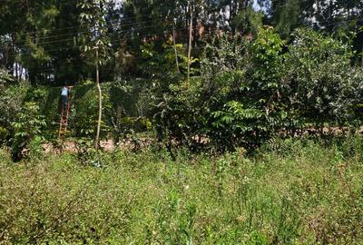 0.5 ac Land in Karen