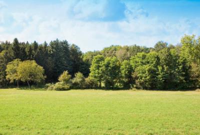 Commercial Property with Backup Generator in Spring Valley