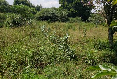 0.5 ac Land in Karen