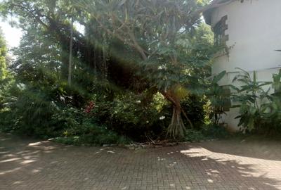 Residential Land in Lavington