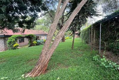 0.6 ac Land at Mugumo