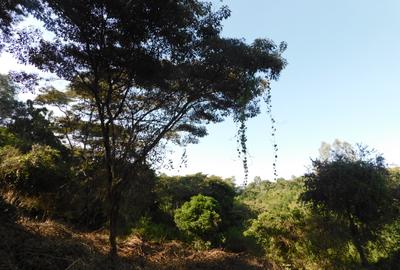 Residential Land at Karen