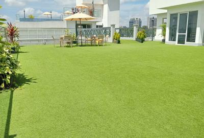 1 Bed Apartment with Gym in Westlands Area - 2