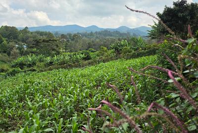 Land at Matasia - 4
