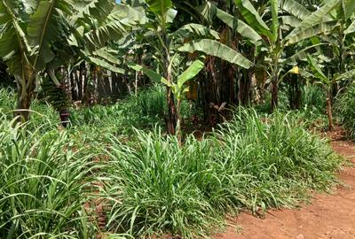 0.12 ac Land in Ruaka - 2