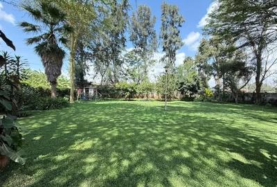 Commercial Property with Backup Generator in Lavington - 2