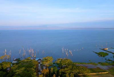 Residential Land in Naivasha - 3
